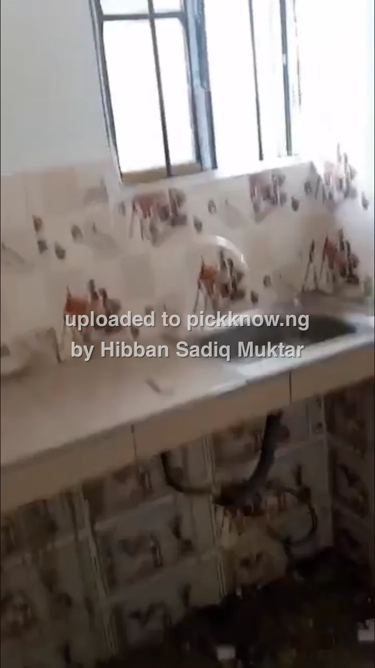 Hibban Sadiq Muktar — shop cover photo