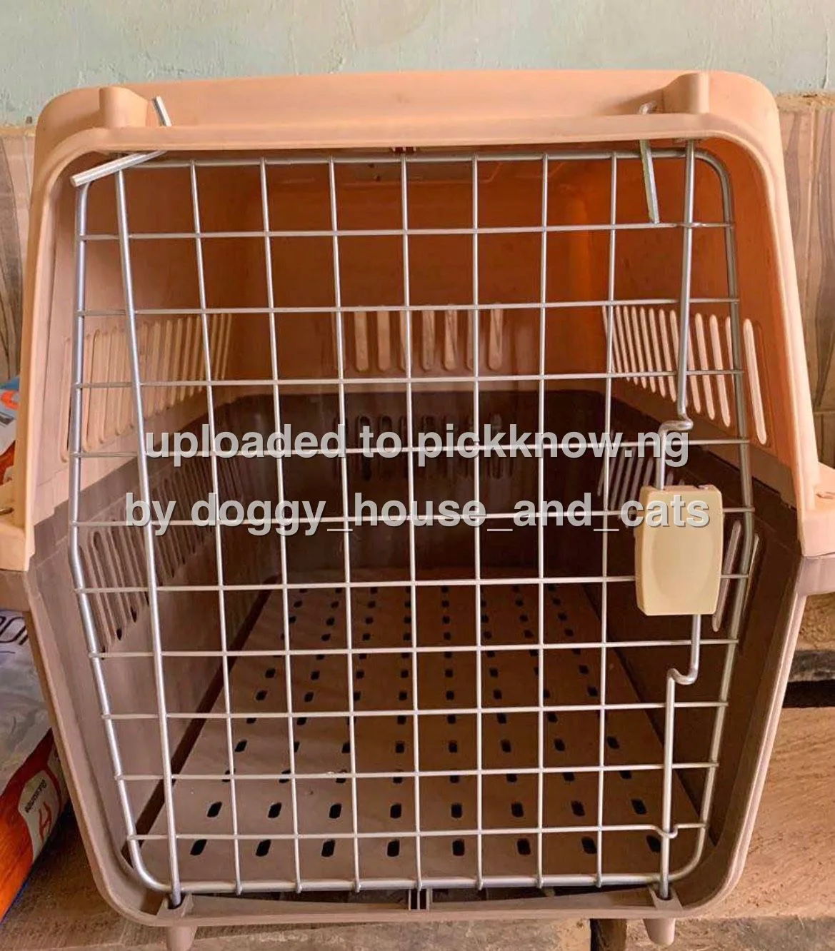 Doggy house and cats — shop cover photo
